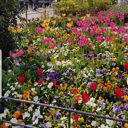Appartamento Rosy Песк'єра-дель-Гарда Екстер'єр фото